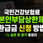 본인부담상한제 환금