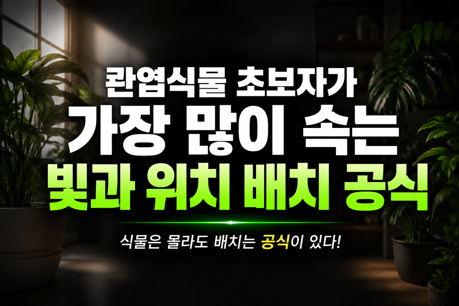 식물 배치 공식과 팁