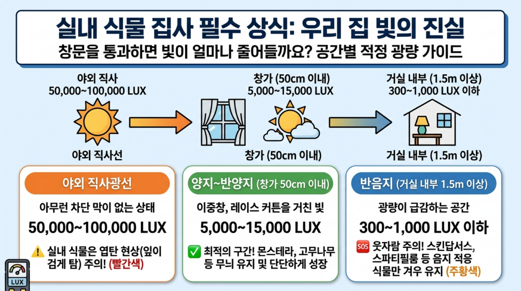 유리창을 통과한 빛의 진실과 식물이 느끼는 광량