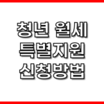 청년월세지원