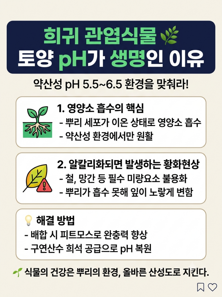 흙의 산성도와 뿌리 세포의 영양소 흡수