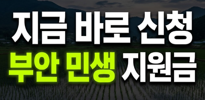 전북 부안군 민생안정지원금